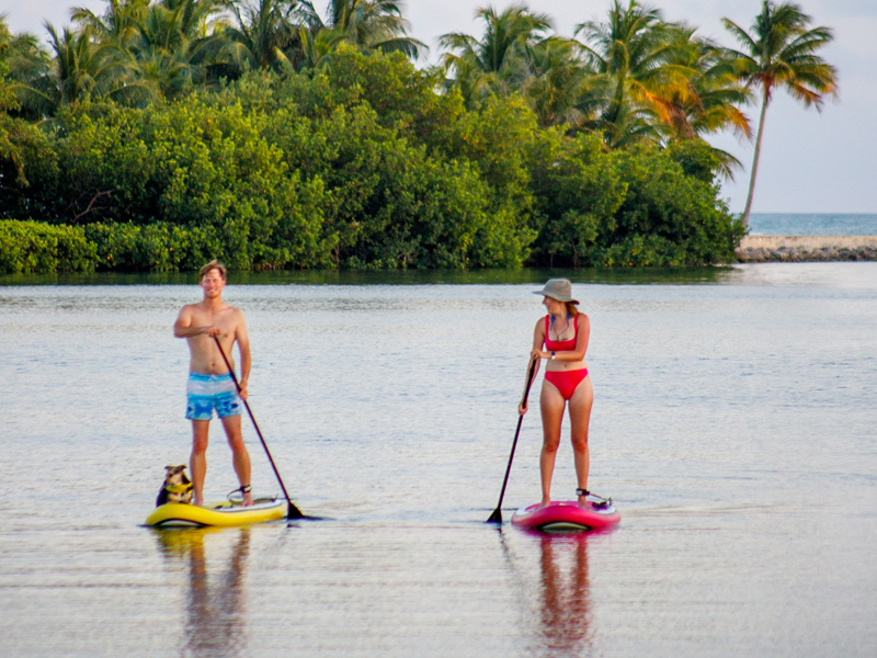 Discover the Magic of the Florida Keys – Kayaking and Stand-Up Paddleboarding